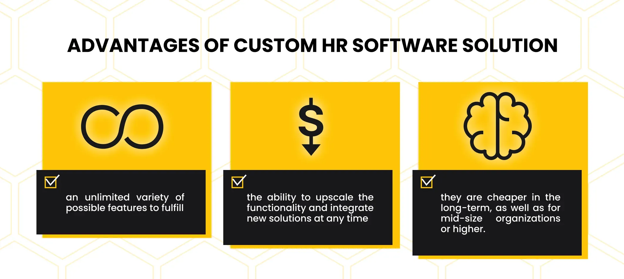 custom HR software advantages